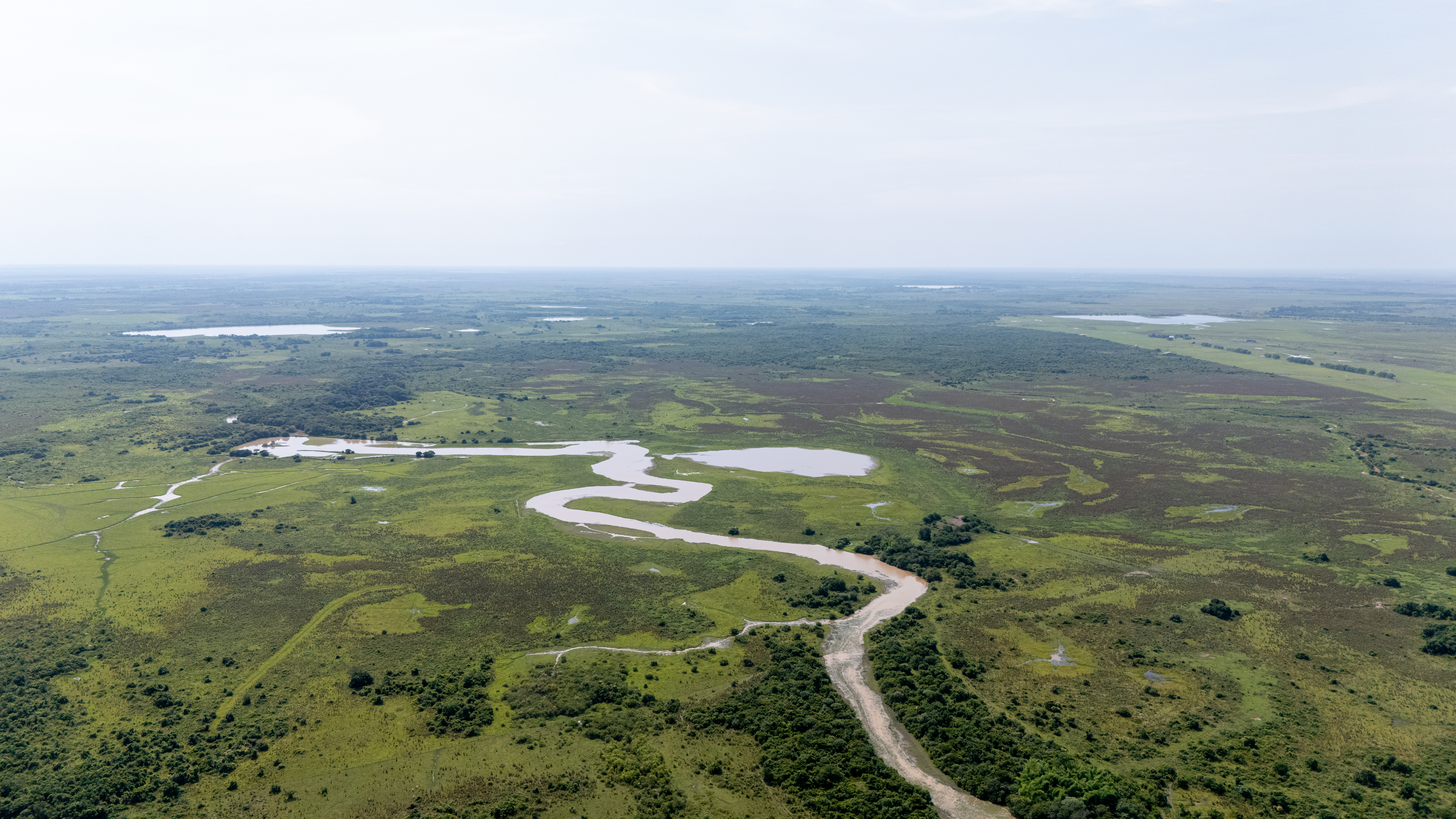 En la Orinoquía, los pastos, asociados a bosques de galería, morichales, ríos y humedales conforman complejos ecosistemas con una gran biodiversidad.