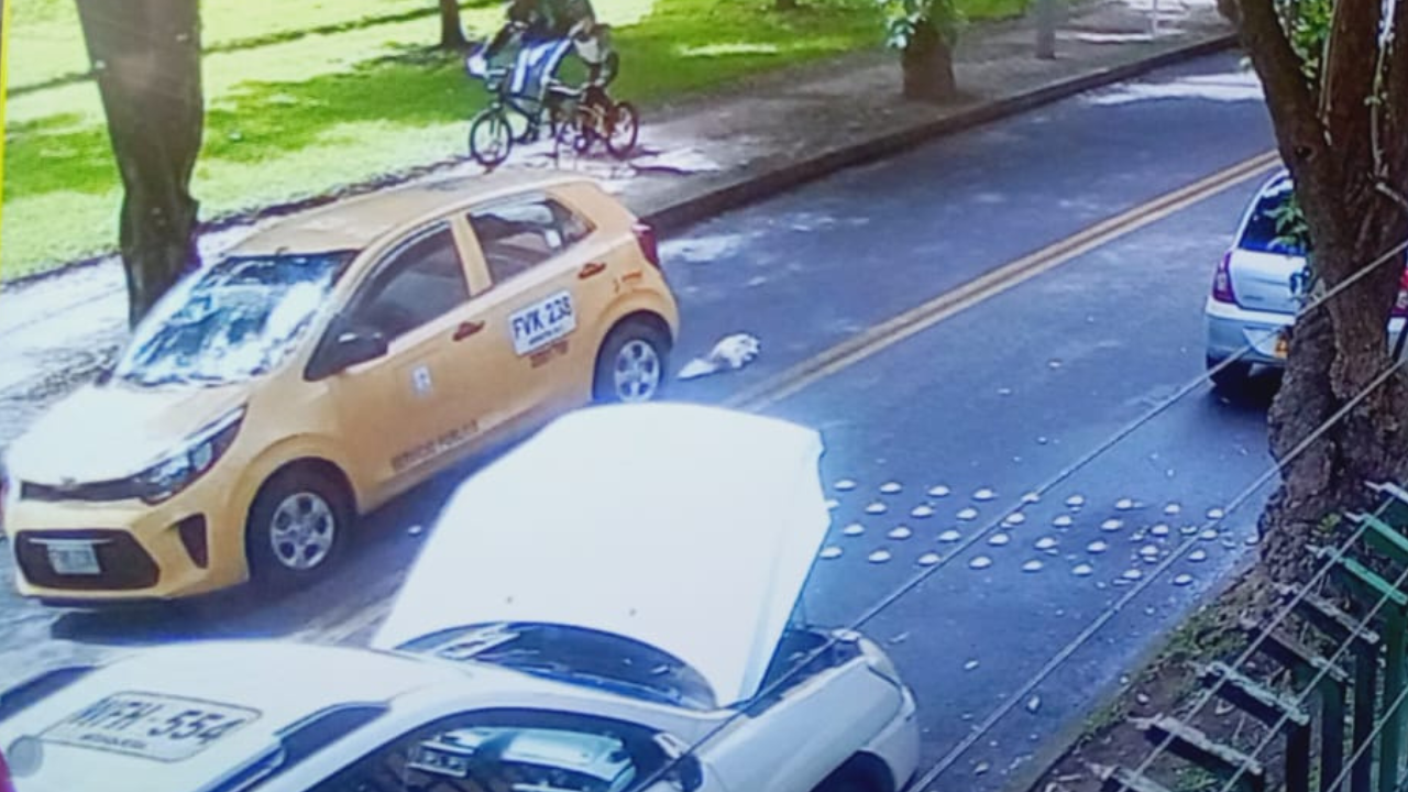 Se busca al conductor del taxi que huyó luego de arrollar a un perrito. Crédito: Cortesía.