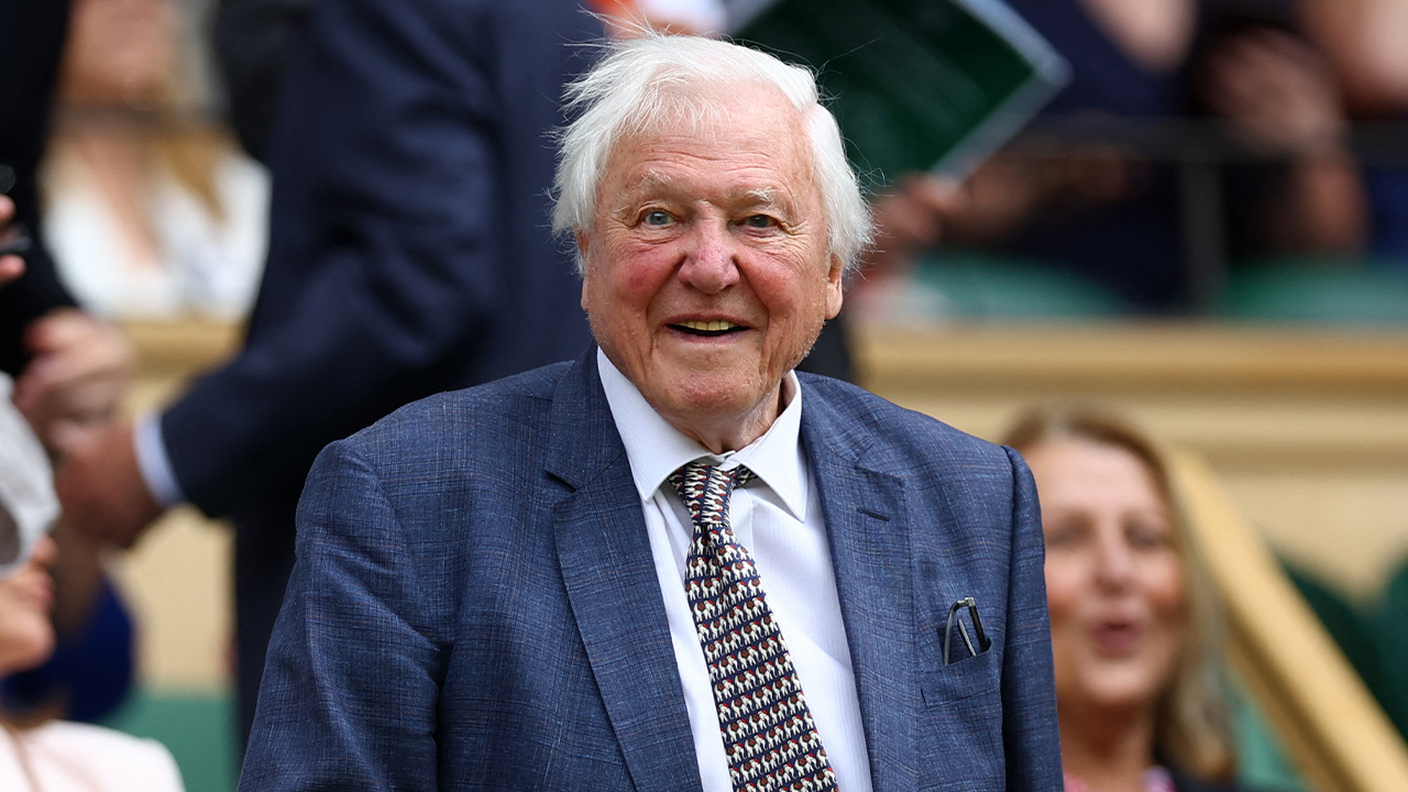 David Attenborough cumple 100 años como una de las voces más influyentes de la divulgación ambiental