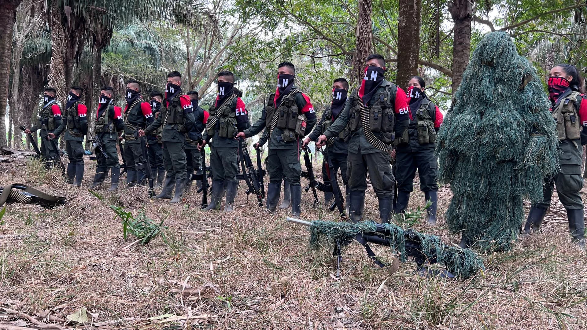 eln_guerrilla_3.jpg eln_guerrilla_3.jpg